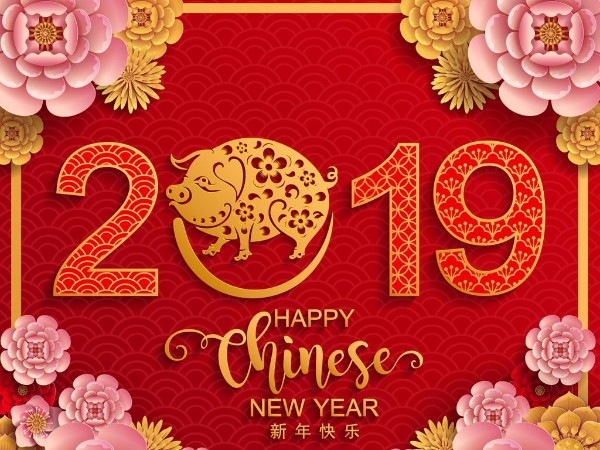 金豬送喜辭舊歲，雙志陪您慶新春！