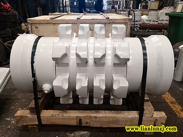 解析！158S800303鏈輪軸組失效形式